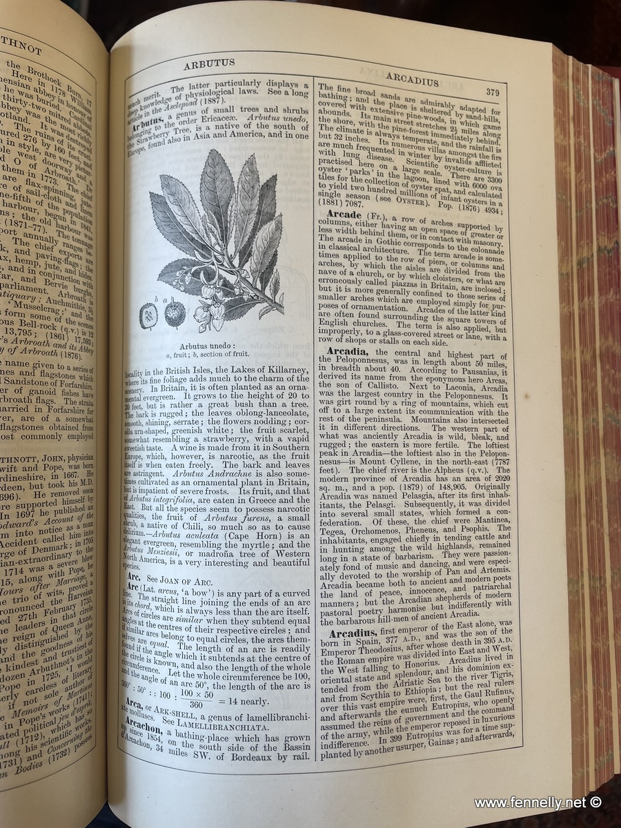 632 Sold Complete Set of Chambers's Encyclopaedia - 1888 Edition - Image 9