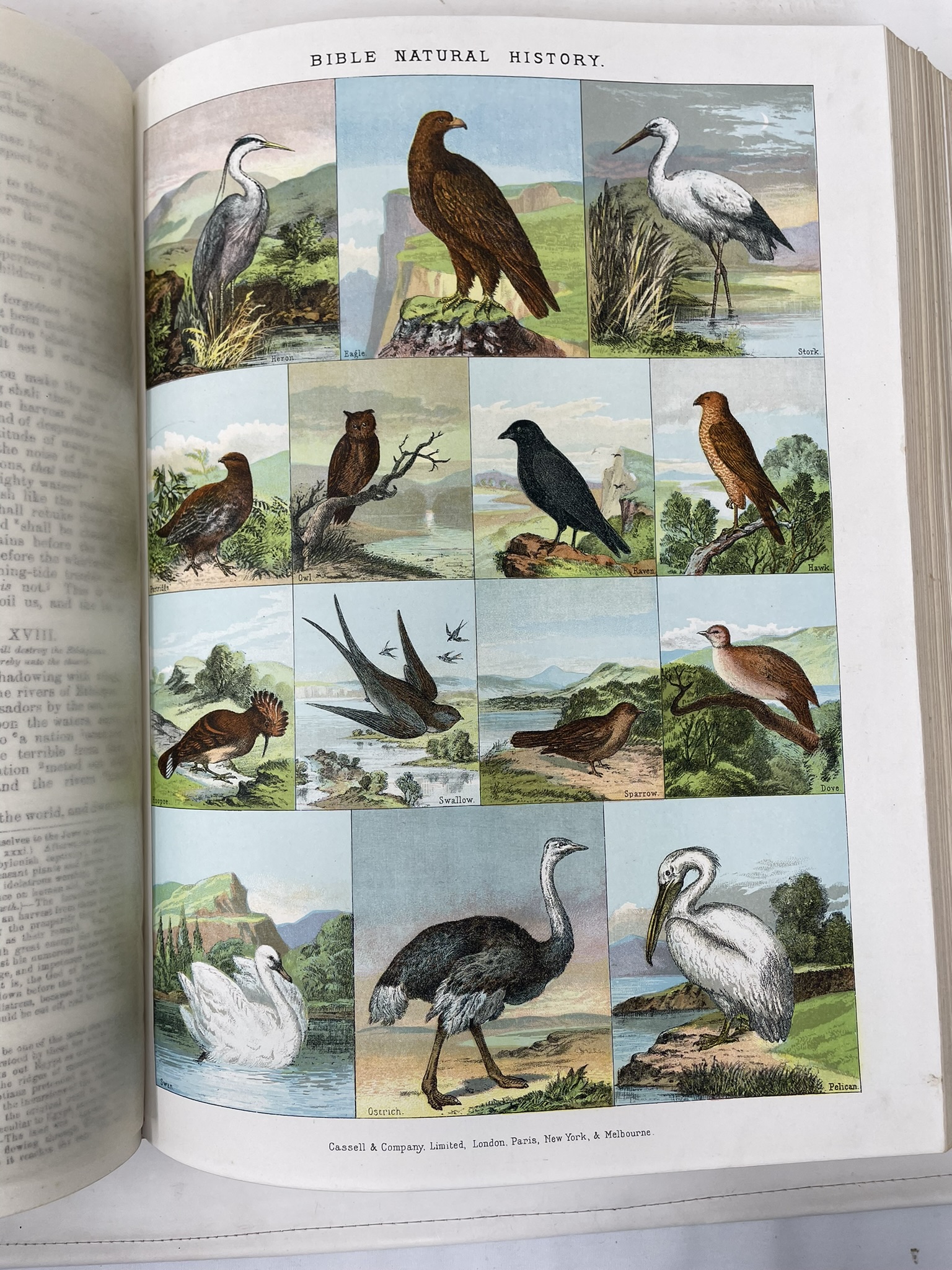 956 Sold Stunning Bible in Superb Condition - Cassells and Company 1880 - Image 7