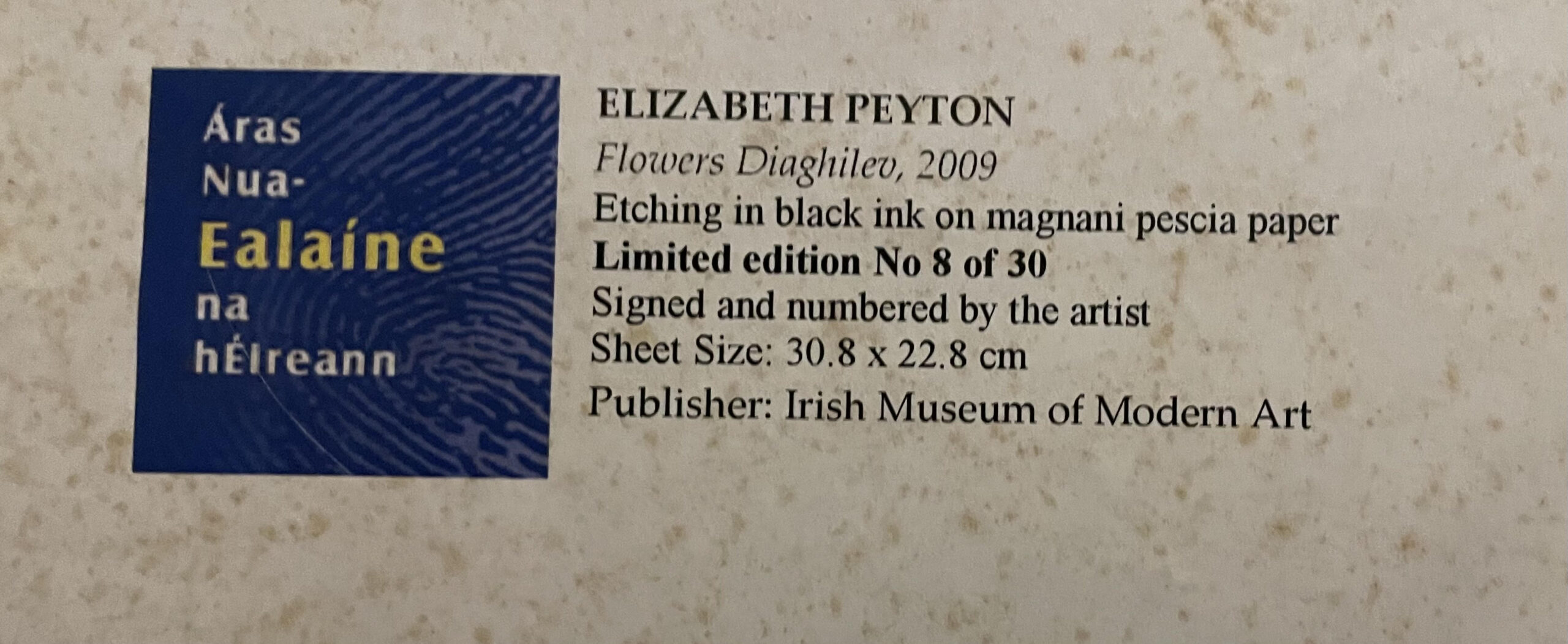 075 Sold Very Rare Elizabeth Peyton Limited Edition Print - Flowers Diaghilev - Image 4