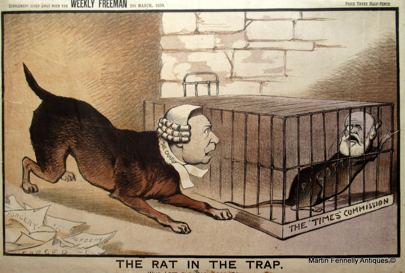 151a Rare Set of old United Ireland Magazine Satirical Cartoons all Late Victorian and original - Image 3