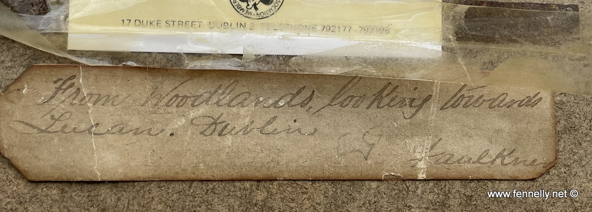 563 Sold John Faulkner 1835-1894 - Lucan View - Framed Watercolour - Image 5