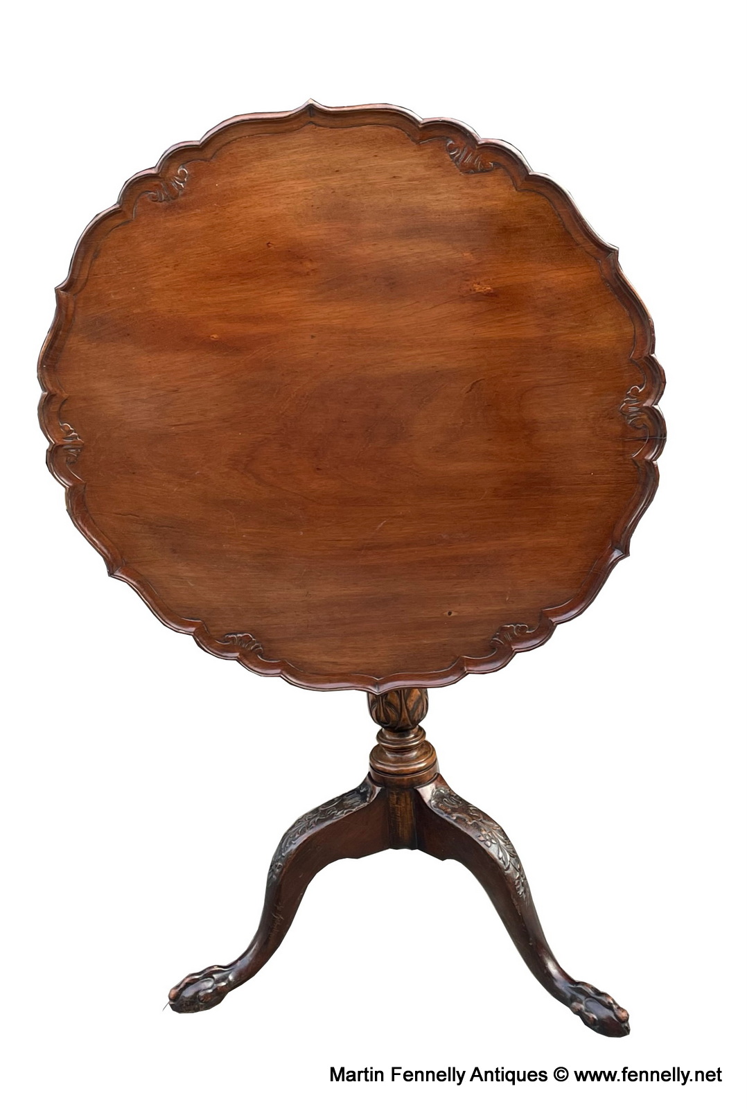 463 Edwardian Circa 1900 - Pie Crust Tilt Top Mahogany Table - Image 2
