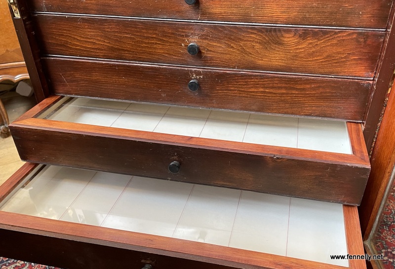 832 Mahogany Collectors Cabinet - English - Circa 1800 - Image 4