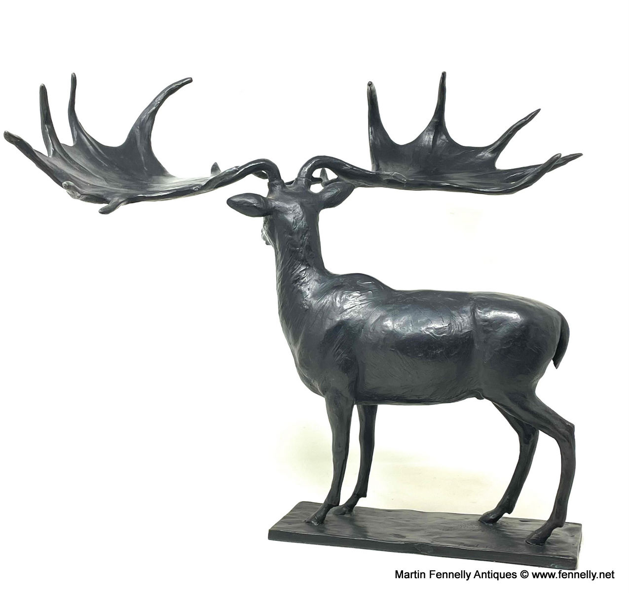 038 Sold Rare Bronze - Giant Irish Elk - Paul Ferriter - Irish - Image 2