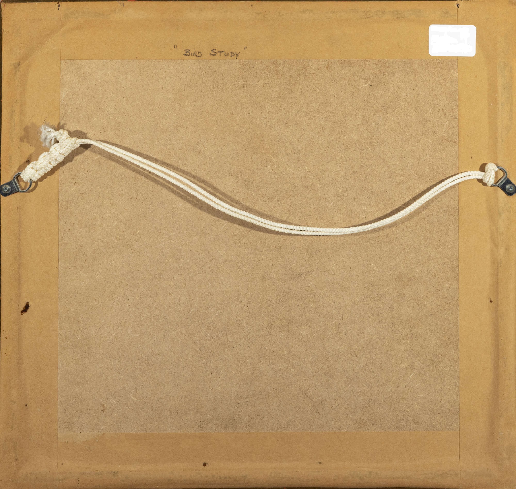 416 Sold Fanny Currey 1848-1917 - Watercolour - Bird Study Winter - Image 3