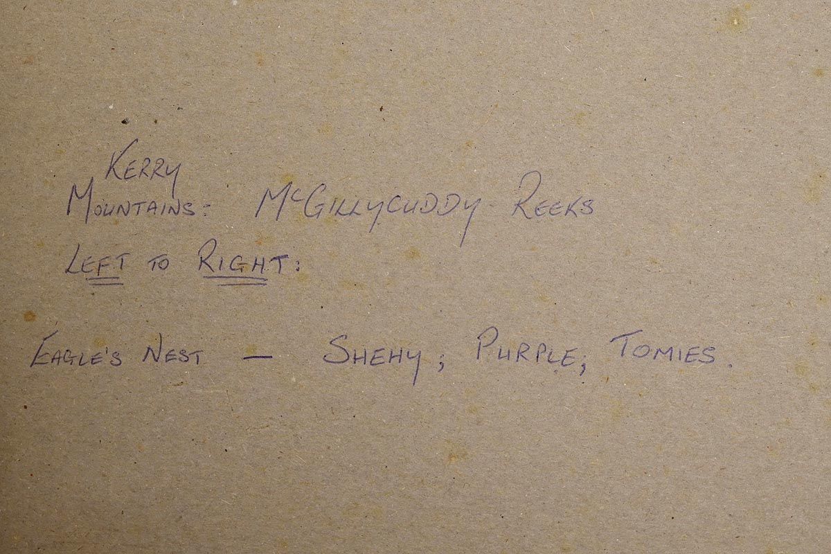 534 Mark Eldred (b1964) - Evening View Killarney - Oil on Card - Image 4