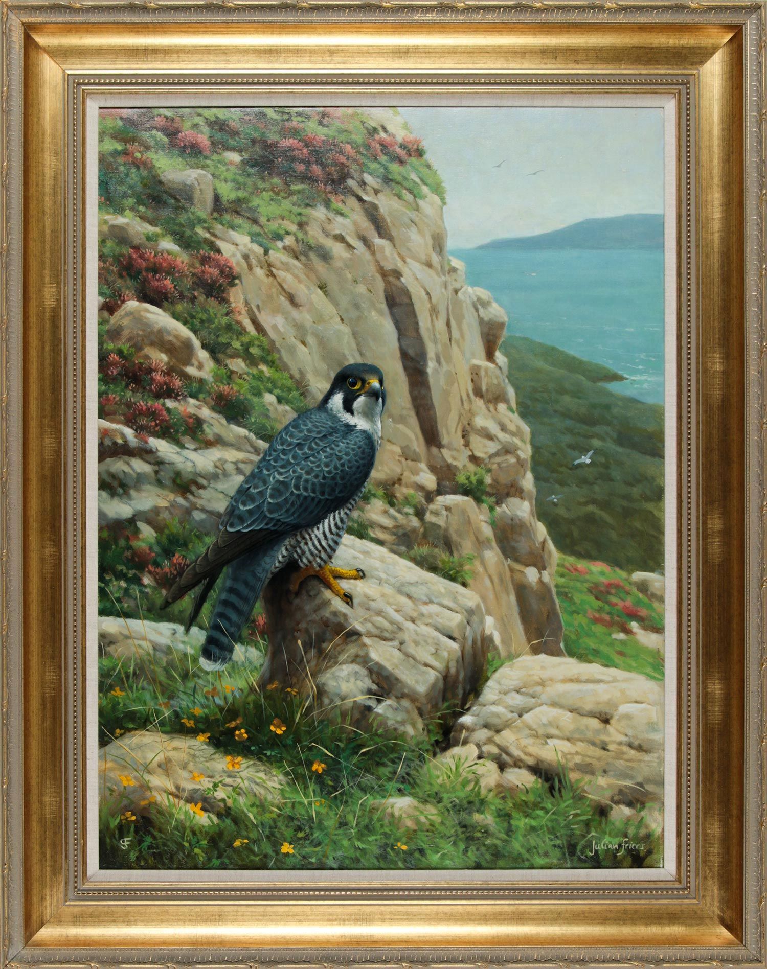 042 Sold Julian Friers - Falcon - Oil on Canvas - 'Peregrine Falcon' - Image 2