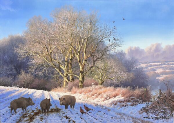 242 Sold Daniel Van der Putten - Wild Boar Mount Eagle Co. Kerry - Oil Painting on Panel