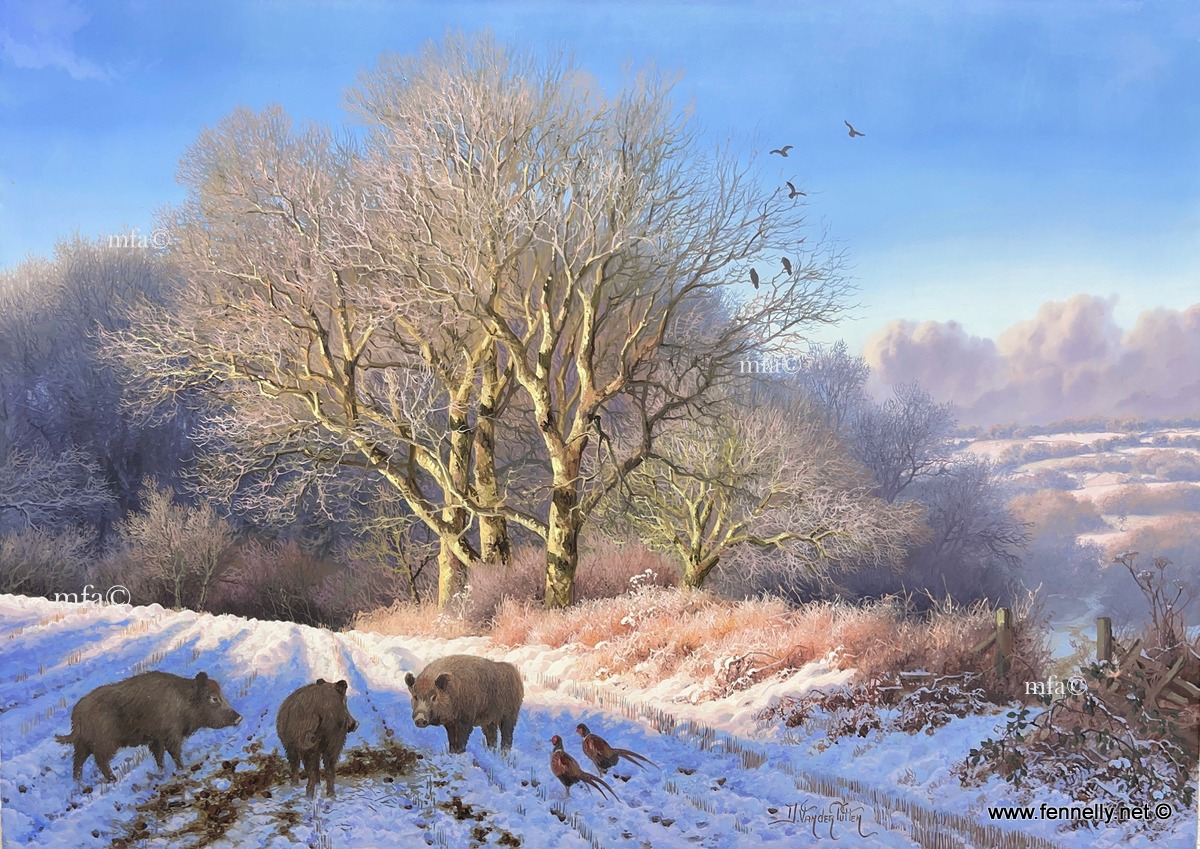 242 Sold Daniel Van der Putten - Wild Boar Mount Eagle Co. Kerry - Oil Painting on Panel