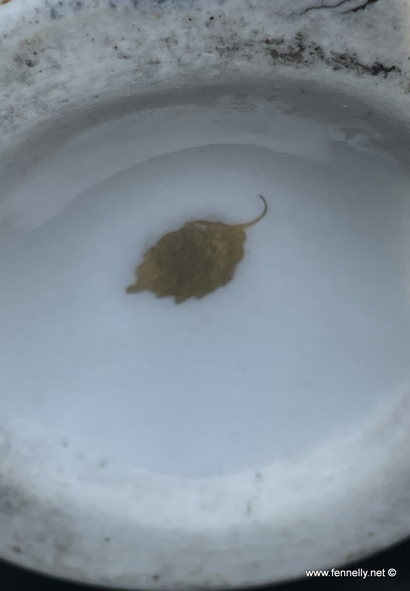 375 Sold Very Rare German Porcelain - Berlin - Eighteenth Century - Image 7