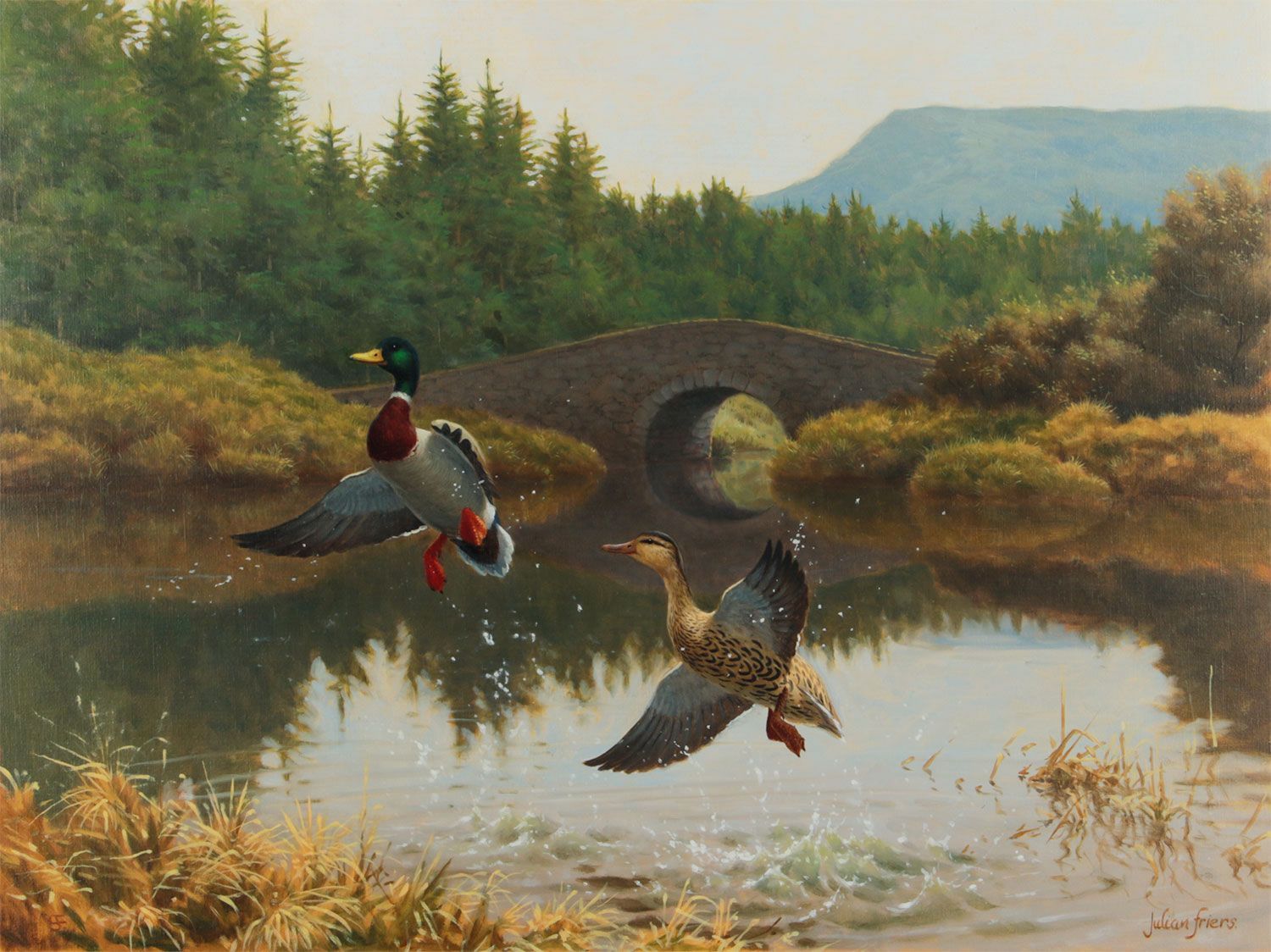 031 Sold Julian Friers - Oil on Canvas - 'Mallard Ducks'