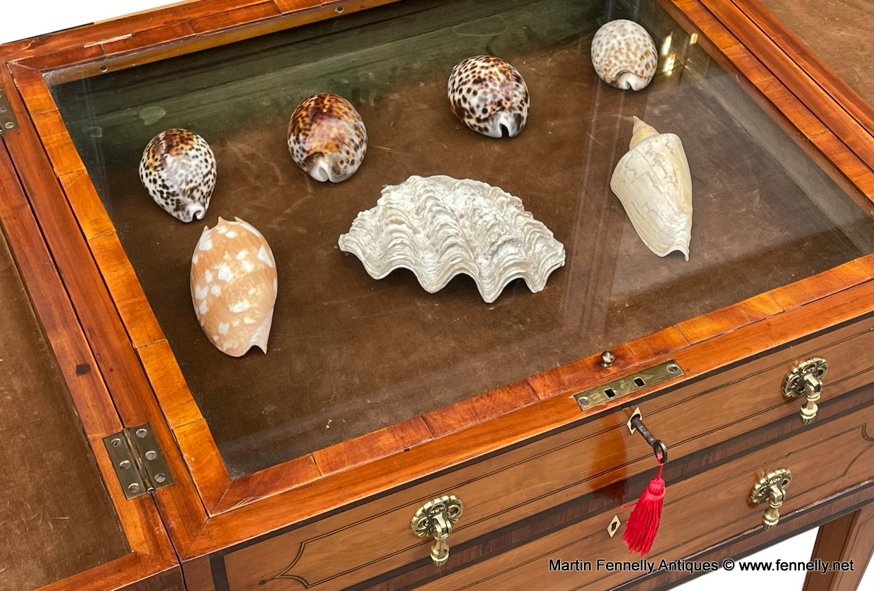 908 Antique Gentlemans Satinwood Rosewood Crossbanded Speciman Cabinet early 19thCt - Image 7