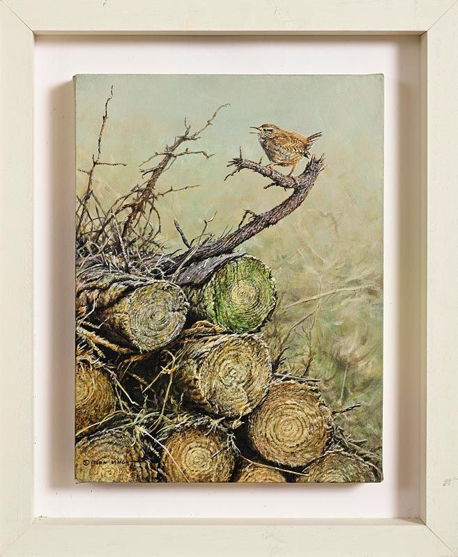 626 Alan M Hunt (b1947) - Oil on Canvas - Wren Song - Image 2