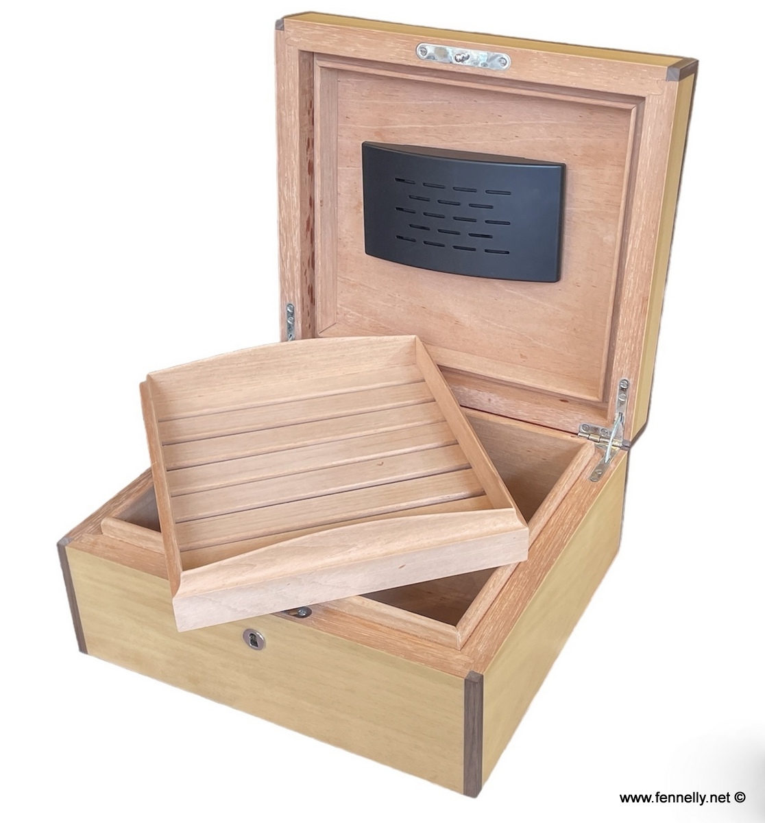 438 Humidor Rare – Manning of Ireland – Irish - Beech Veneer - Image 2