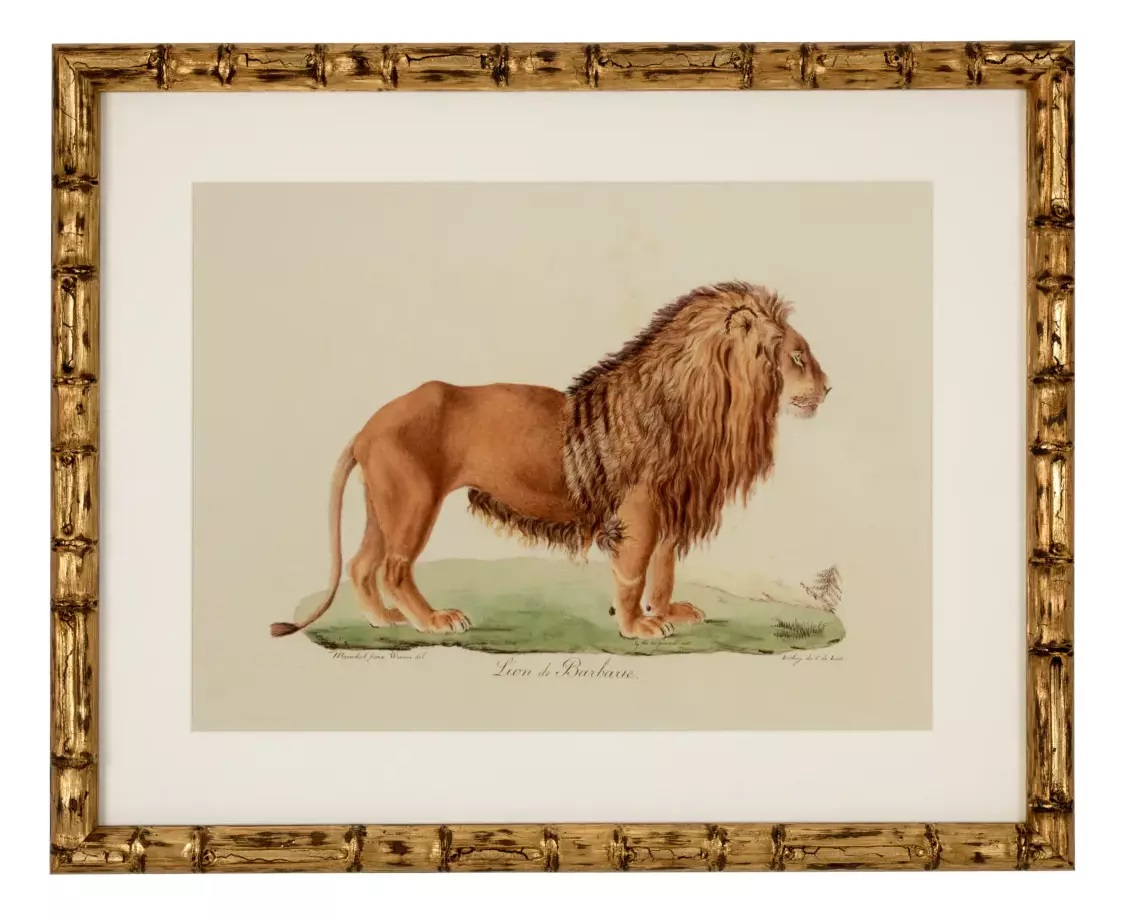 904 Sold Superb Set of 6 - Big Cat Engravings - Framed - Image 7