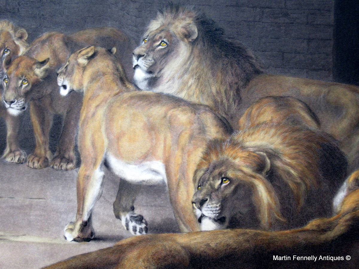 138 Daniel’s Answer to the King - Briton Rivière - Large Framed Engraving - Image 2