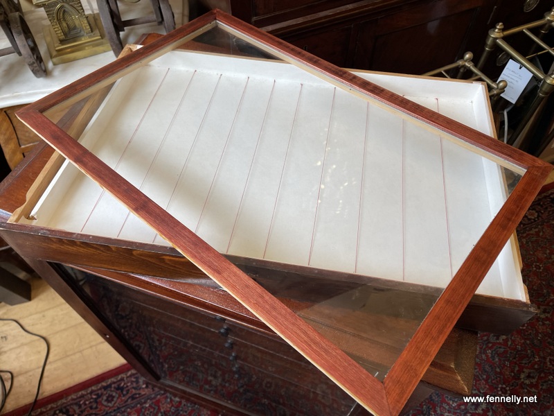 832 Mahogany Collectors Cabinet - English - Circa 1800 - Image 5