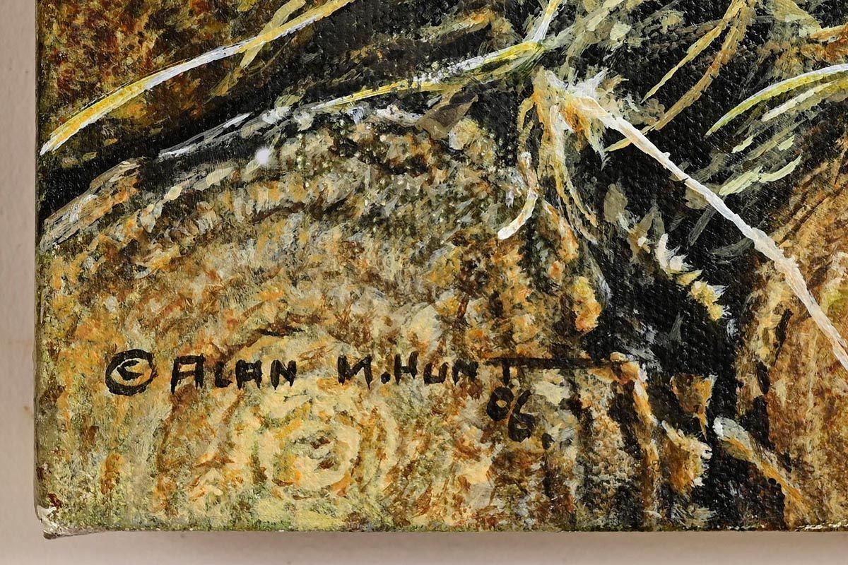 626 Alan M Hunt (b1947) - Oil on Canvas - Wren Song - Image 3