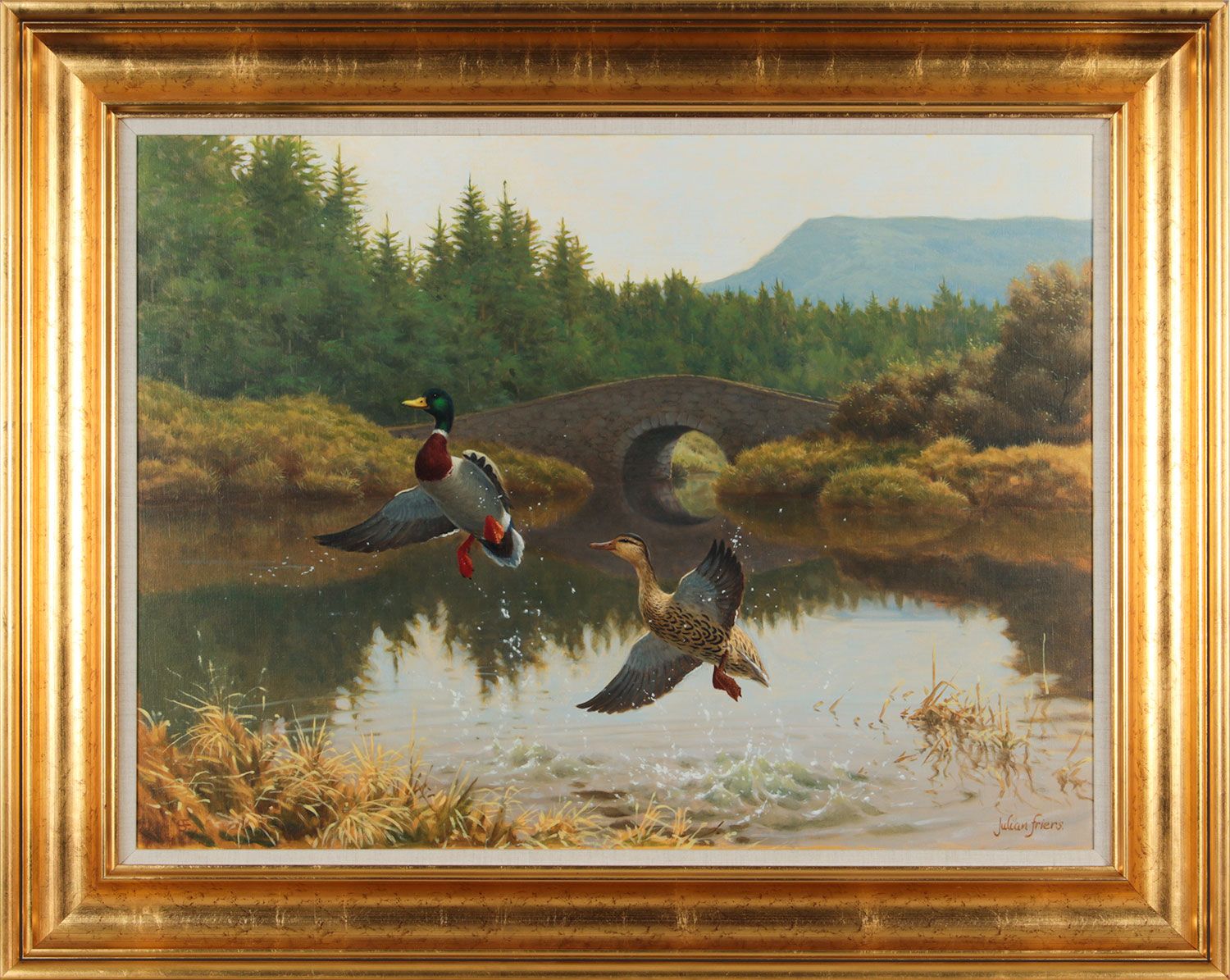 031 Sold Julian Friers - Oil on Canvas - 'Mallard Ducks' - Image 2