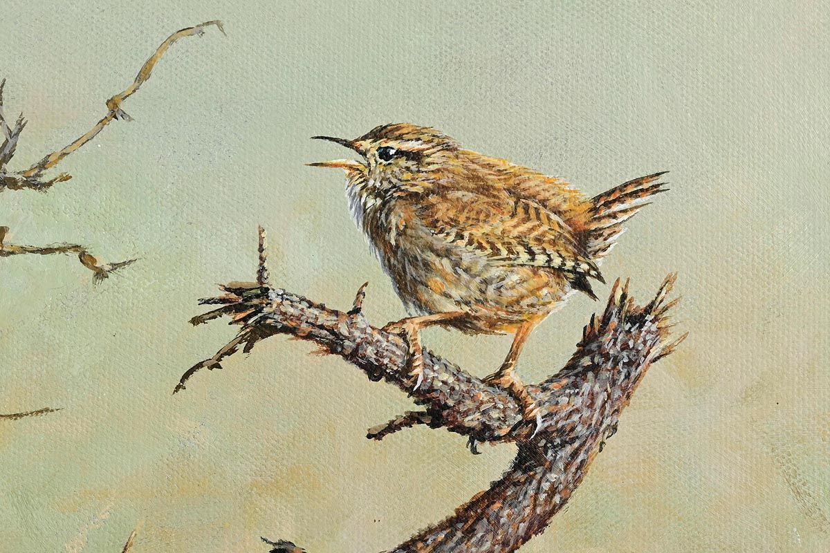 626 Alan M Hunt (b1947) - Oil on Canvas - Wren Song - Image 5