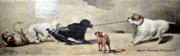 100 Sold Tug of War - Satirical Engraving - 1899 - Original Harding Cox