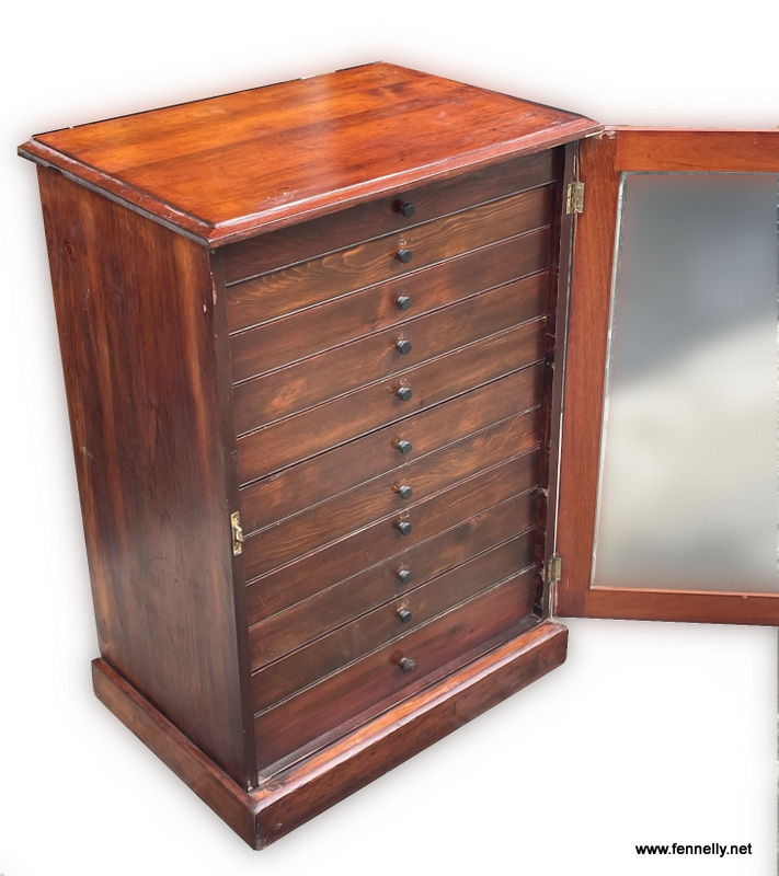 832 Mahogany Collectors Cabinet - English - Circa 1800