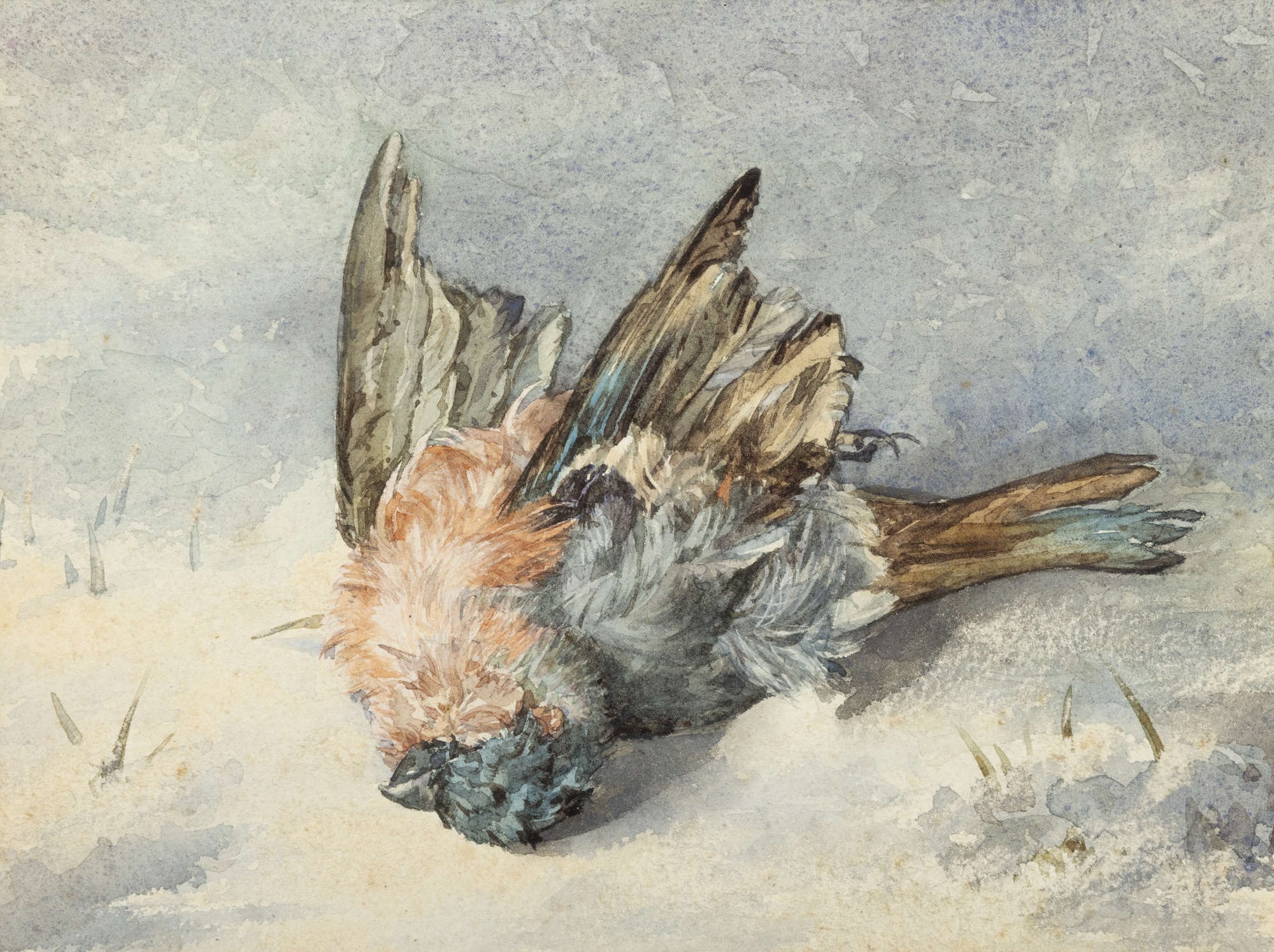 416 Sold Fanny Currey 1848-1917 - Watercolour - Bird Study Winter - Image 2