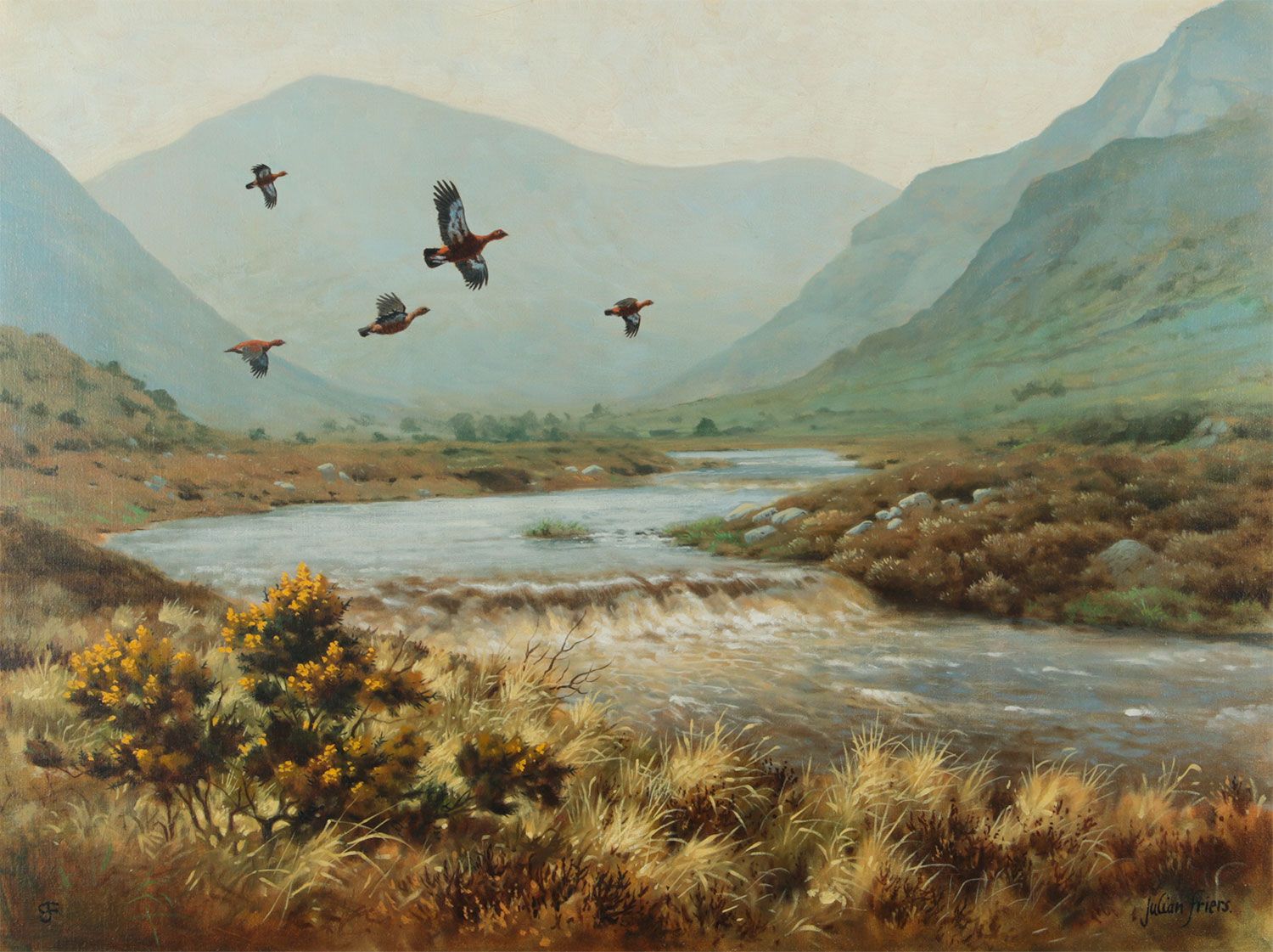 366 Sold Julian Friers - Oil on Canvas - 'Grouse in The Mournes'