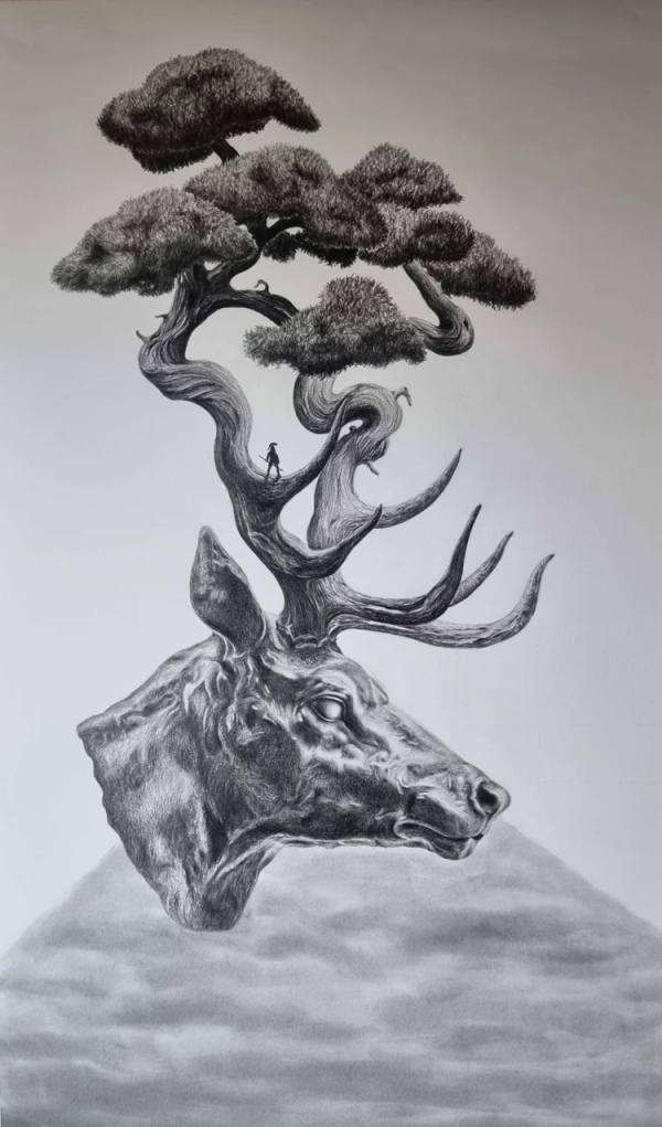 936 Sold 'Twisted Nature' Graphite and Charcoal on Paper - Evan Healy